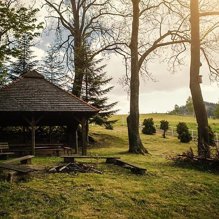 Dom Goscinny Biegun Walbrzych Ngoại thất bức ảnh
